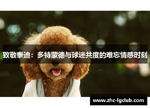 致敬泰迪:多特蒙德与球迷共度的难忘情感时刻 致敬泰迪:多特蒙德与球迷共度的难忘情感时刻