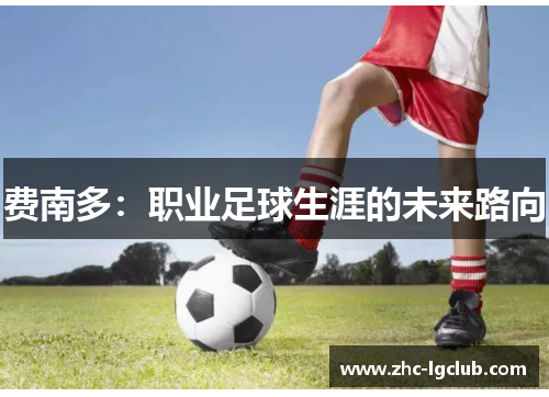 费南多：职业足球生涯的未来路向